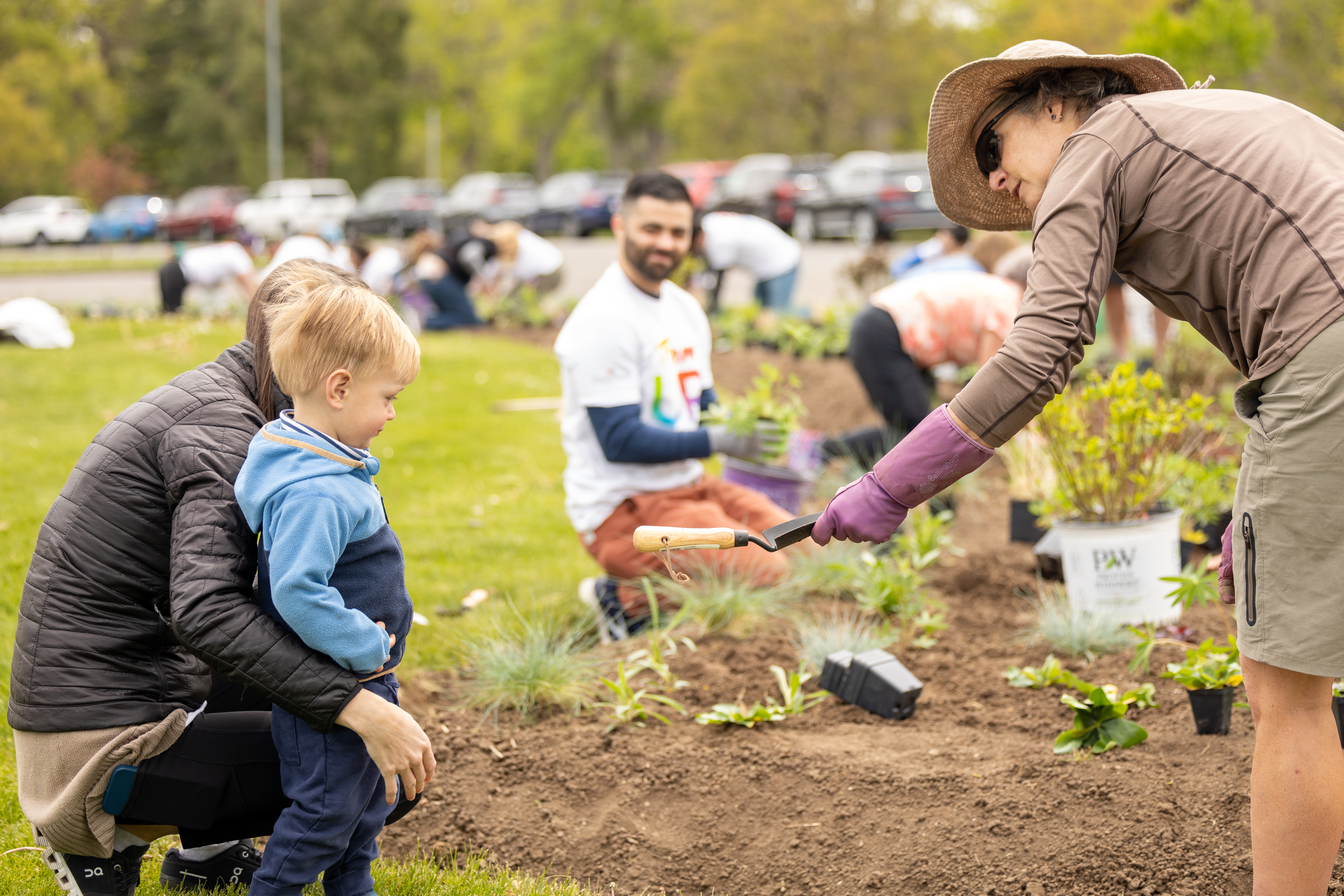 Volunteer Planting