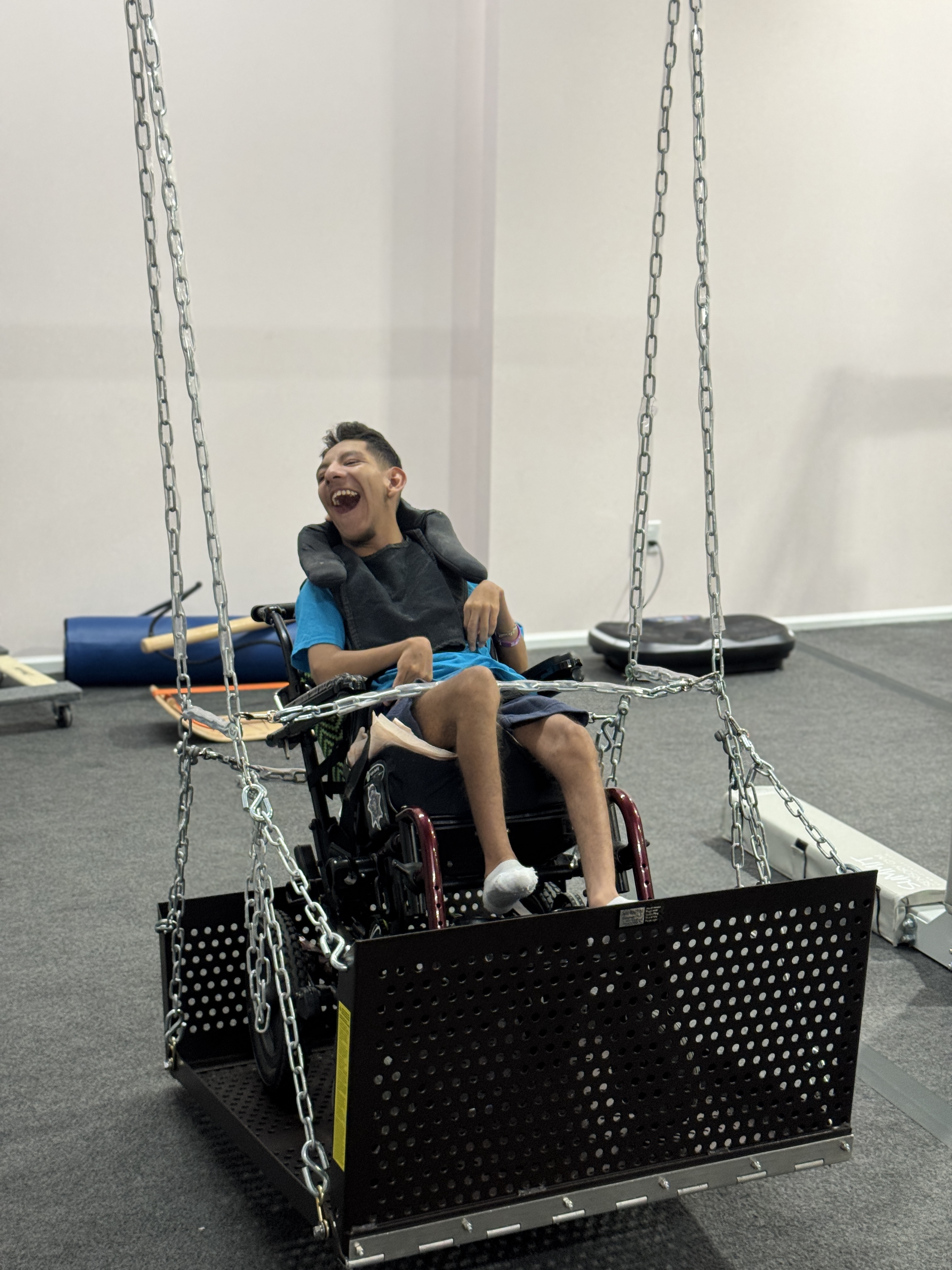 Wheelchair Swing