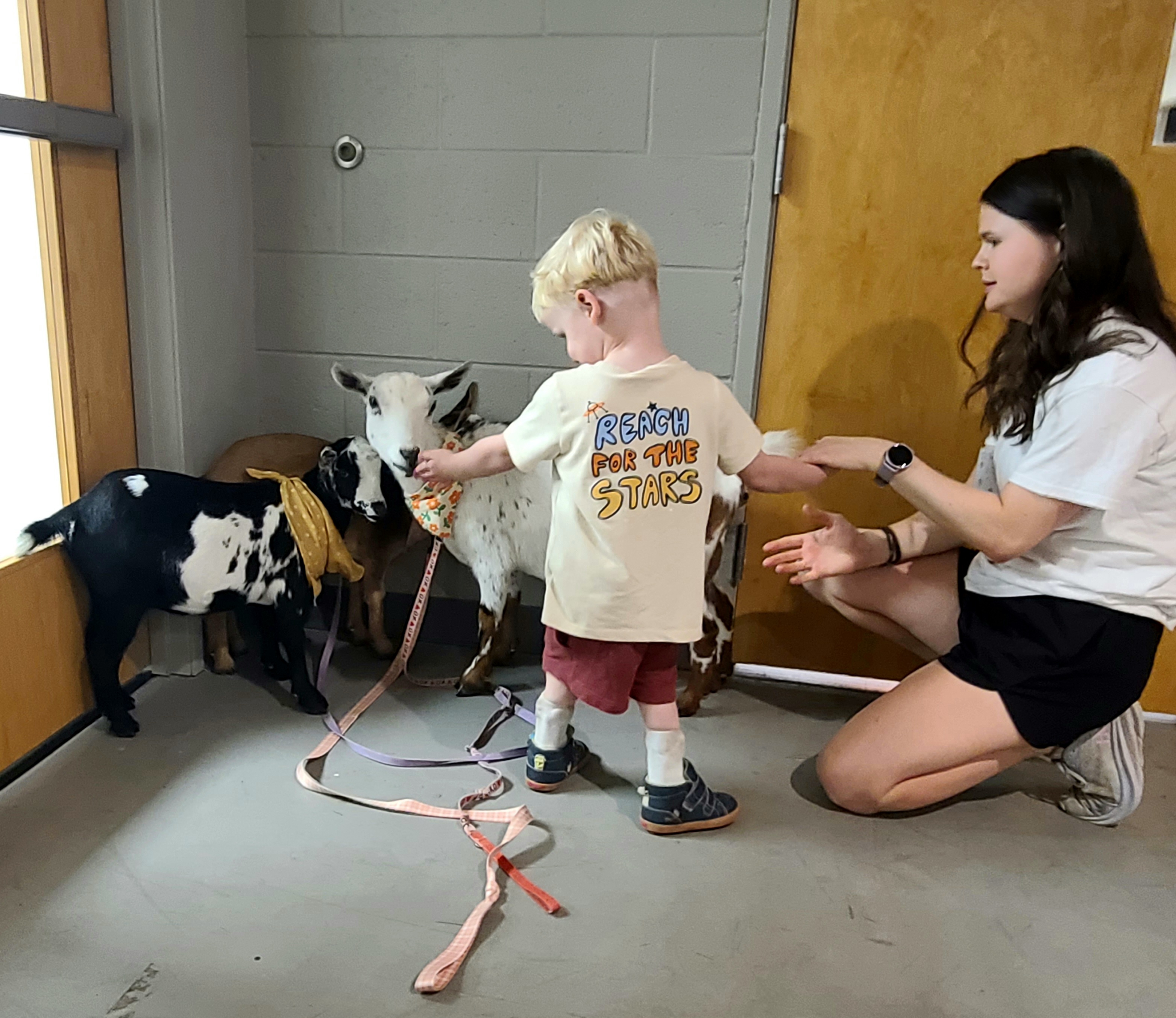 goat pets
